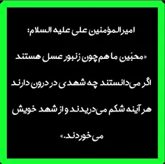 امیرالمؤمنین فرمود: «محبّین ما هم‌چون زنبور عسل هستند، اگ