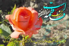 دین خدا زهمت او جان گرفته است