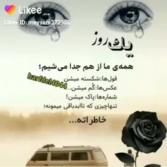 khorshidarefi 45922765