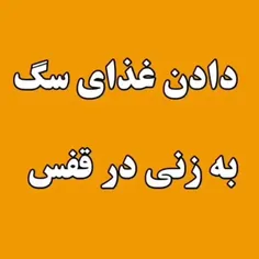 با کسانی زندگی میکنیم که به ماهواره ای که ایران به فضا می