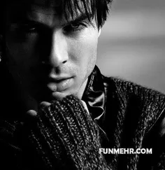 lan somerhalder