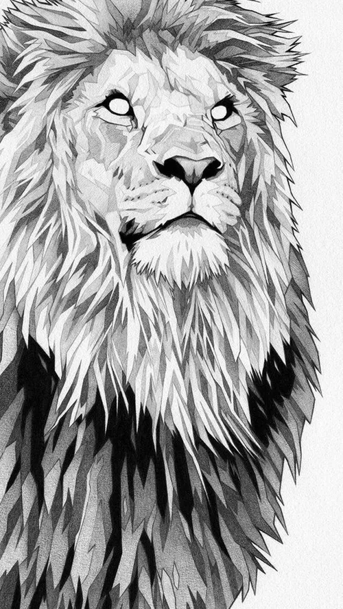 💎 Wallpaper 🦁 Lion