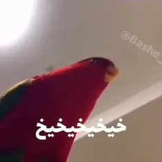 جرررر