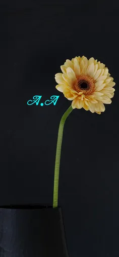 #Flower