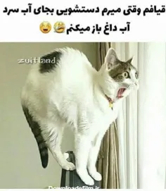 طنز نوشت رو دنبال کن 😉