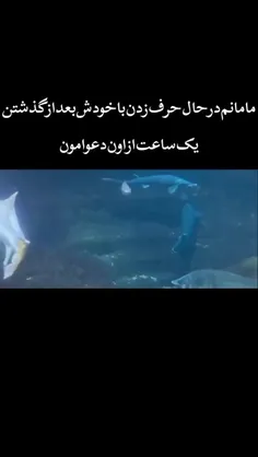 بله درسته