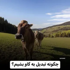 چرا ورق زدی ؟ 😂