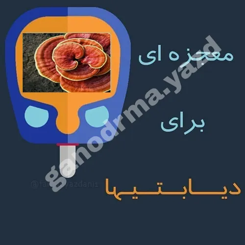 مشاوره 👈 دایرکت 📲 09136728818 .