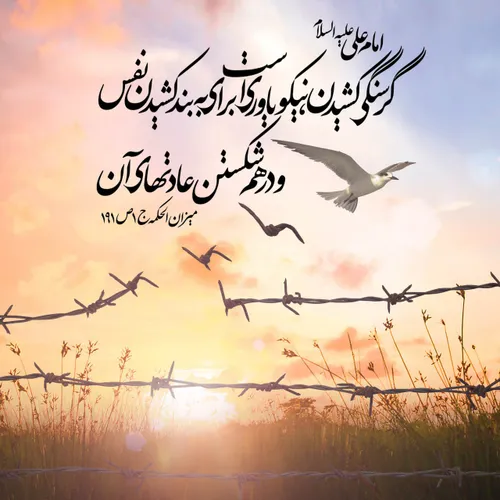 امام علی(ع) :