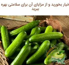 خیار بخورید و از مزایای آن برای سلامتی بهره ببرید 