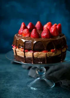مواد لازم برای  چیز کیک با شکلات تلخ :