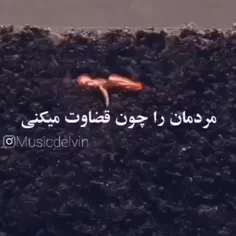 قاضی خداست