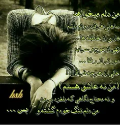 گوناگون hastm_hanooz 28384998