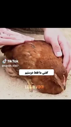 اما دوستا که طعم همو نمیدونن😭😂