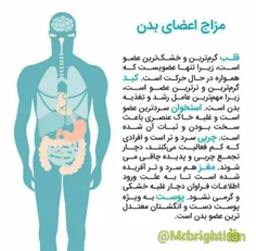 آیا می‌دانید قلب، کبد، استخوان‌ها، چربی‌ها، مغز و پوست بد