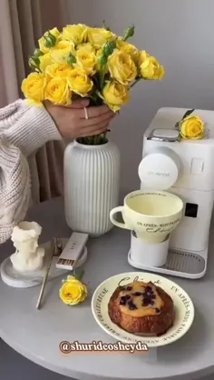 سلام خدمت دوستان 