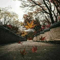 ‏پاییز در راه است،