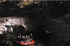 این غار زیستگاه کرم های شب‌تاب سبزرنگی است که فضای تاریک 