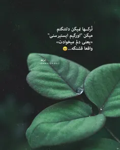 سخن ناب