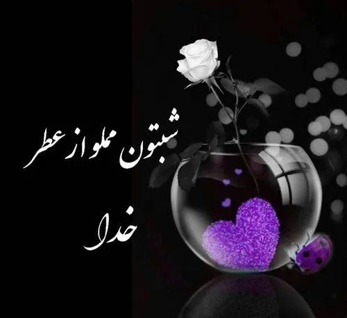 آرامش شب نصیب کسانی که