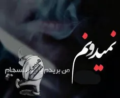 عکس نوشته hamid-s2 19959187