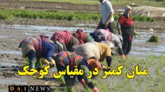 کاهش انتشار متان از کشاورزی در مقیاس کوچک