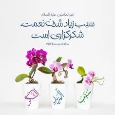 احادیث گرافیکی