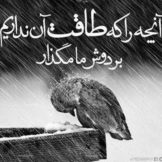 برای طووووو