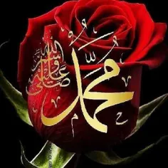 اللهم صل علی محمد و آل محمد و عجل فرجهم🌹  🌹 🌹 🌹 🌹 🌹 🌹 🌹 🌹