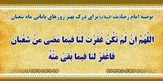 توصیه حضرت امام رضا (علیه السلام) برای روزهای پایانی ماه 