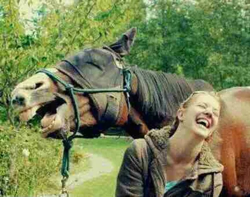 بعضیا مث اسب میخندن