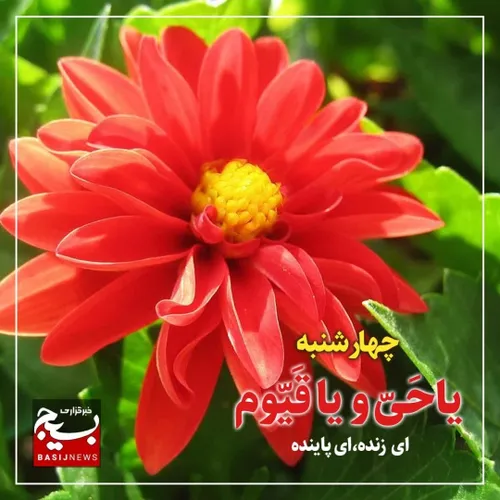  mahdireza179 54371254 - عکس ویسگون