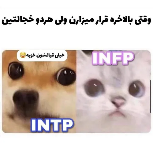 mbti INFP INTP