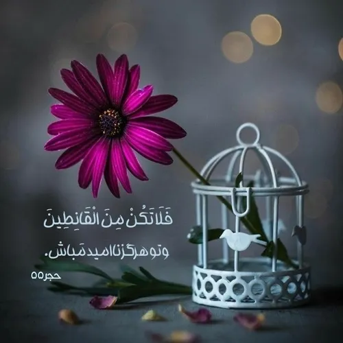 🕊️فَلَا تَكُنْ مِنَ الْقَانِطِينَ