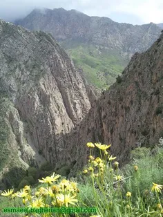 سلام صبح همگی دوستان بخیروشادی