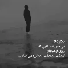 باشی مهم نیس دیه 👌