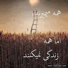 عاشقانه ها ali999999 33563680