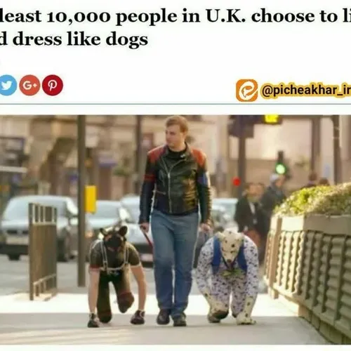 🔻‏بیش از 10000 شهروند انگلیسی تبدیل به «انسان سگ نما» شده