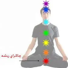 1- چاکرای ریشه (Muladhara-Root or Base Chakra)