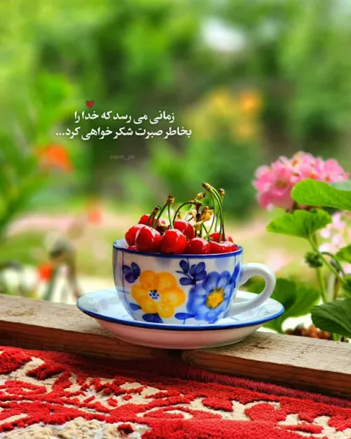 زمانی می رسد که خدارا بخاطر صبرت شکر خواهی کرد 🌺