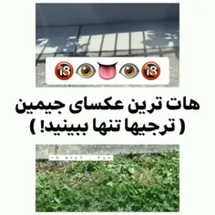 اره دیگه😂👍🏻