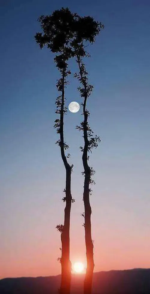 ماه و خورشید در یک قاب