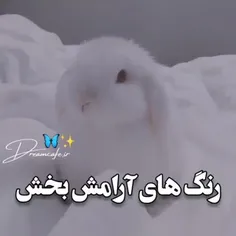 واقعا آرامش بخش