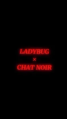 #cat_noir_lady_bug