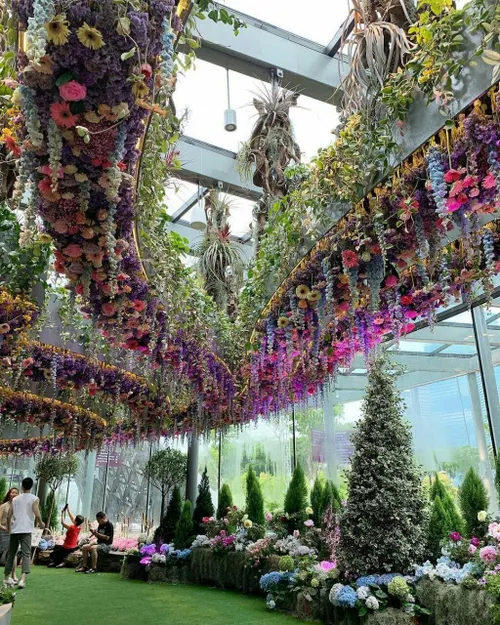 نمایشگاه گل در سنگاپور 🏞