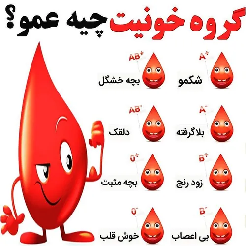 همگی کامنت