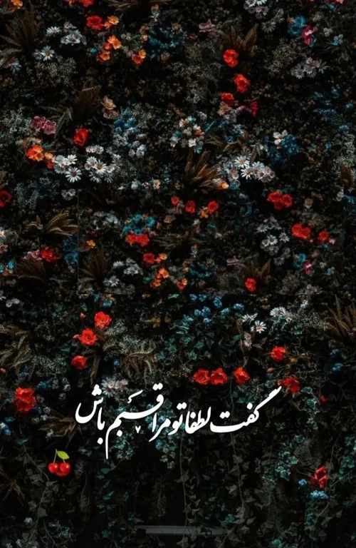 عکس نوشته