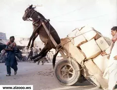 اینم از....بعله