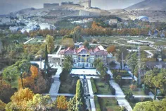 #SHIRAZ