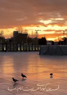 با قلبی شکسته از راه دور سلام